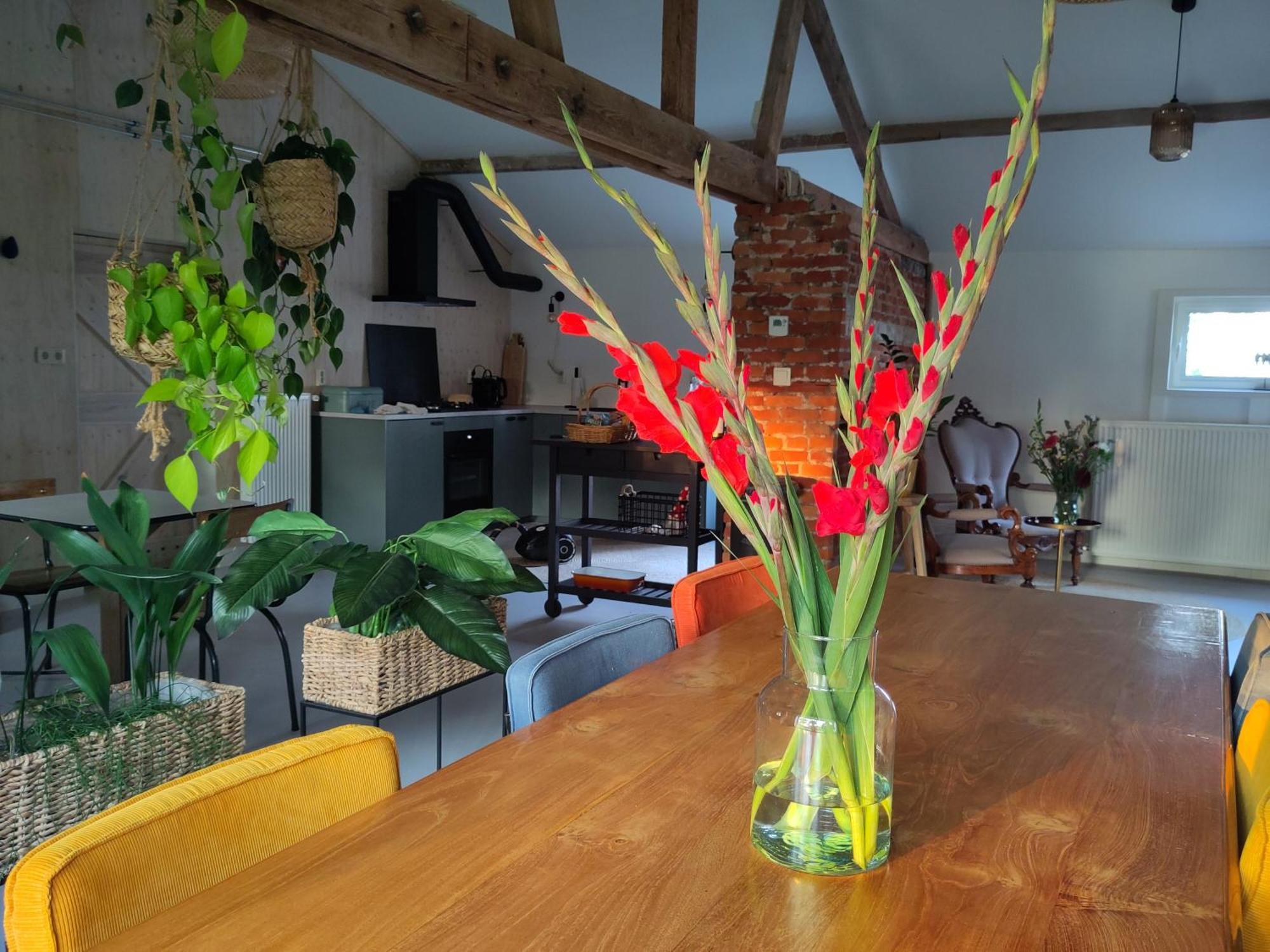 Bed and Breakfast 'T Voske Zundert Екстер'єр фото